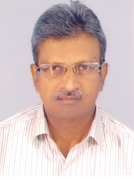 Professor R. K. Mandal